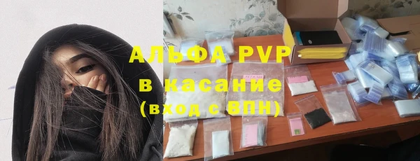 PSILOCYBIN Балахна