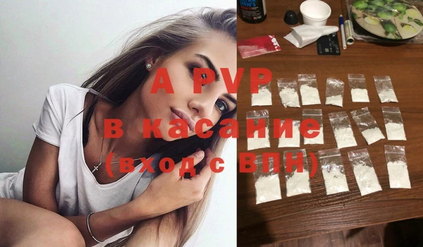 PSILOCYBIN Балахна
