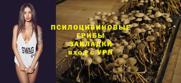 PSILOCYBIN Балахна