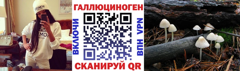 Галлюциногенные грибы MAGIC MUSHROOMS  Северо-Курильск 